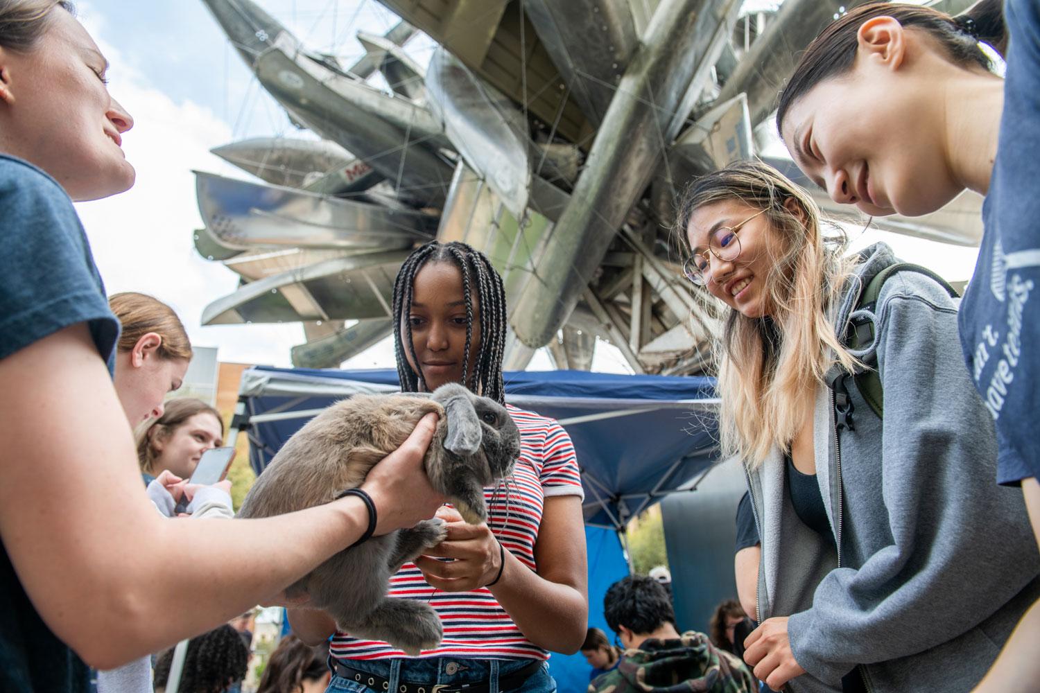 Students handle small animals in a petting zoo, with a sculpture behind them