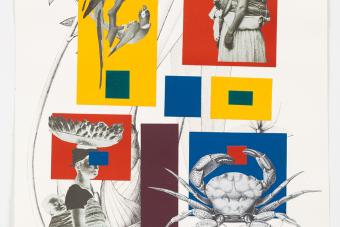 A collage with bright primary color shapes and black and white prints of people and fauna.