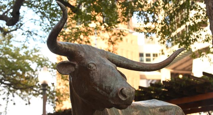 Bronze statue of Bevo with Tower in the background