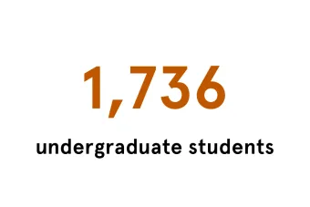 1,763 Undergraduate Students