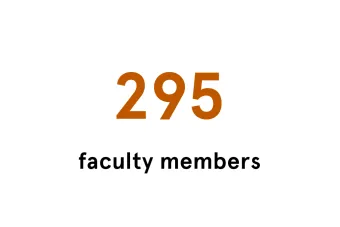 295 Faculty members