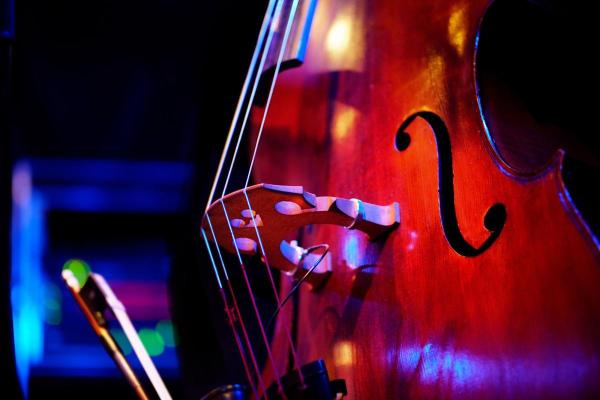 A close up image of a double bass