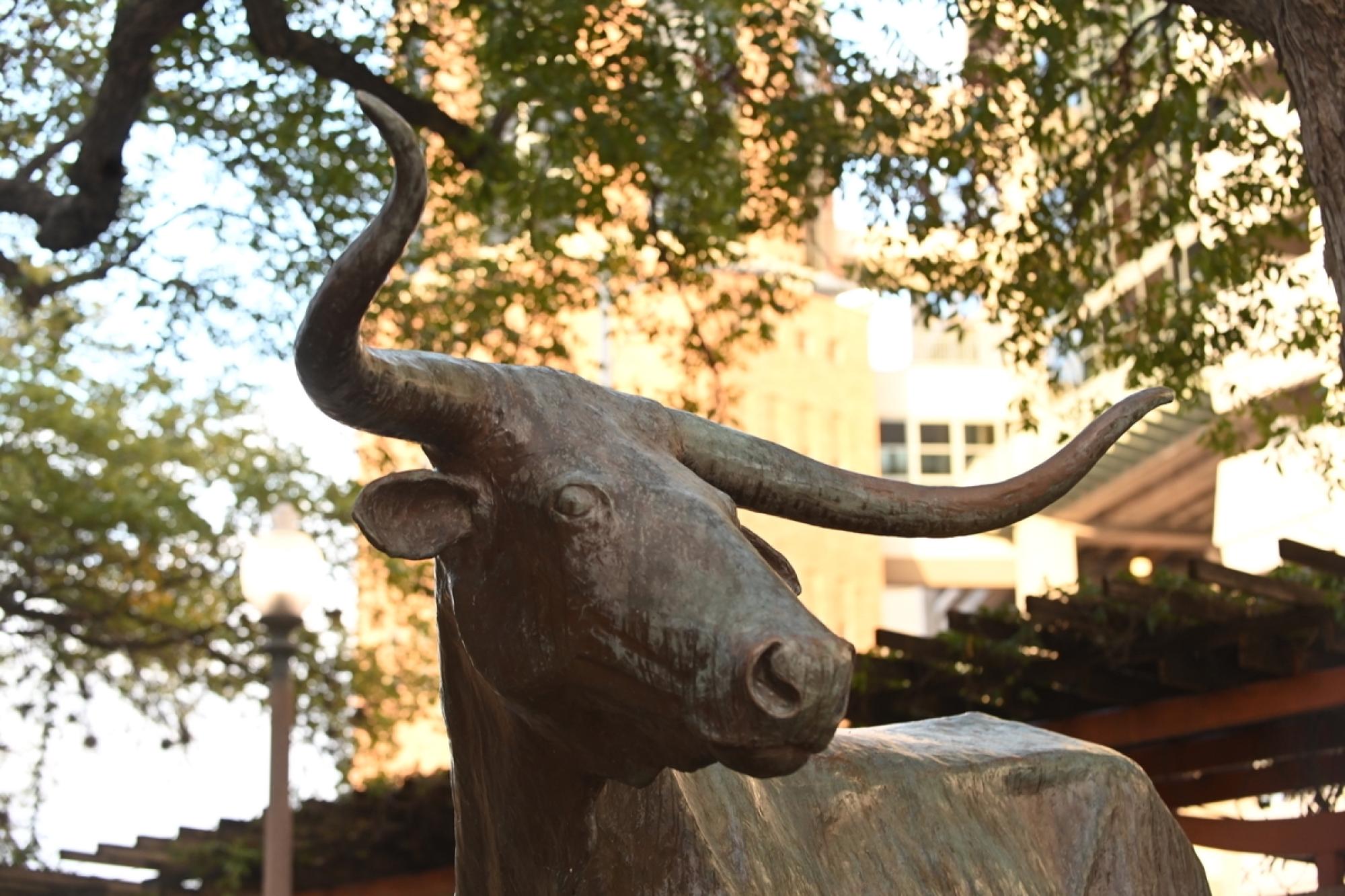 Bronze statue of Bevo with Tower in the background