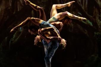 Two dancers lift two other dancers so that their legs span the air.