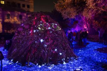 The Creek Monster Habitat, a dome-shaped structure covered in organic material, is installed as part of the Waterloo Greenway Creek Show, a public art show in Austin.
