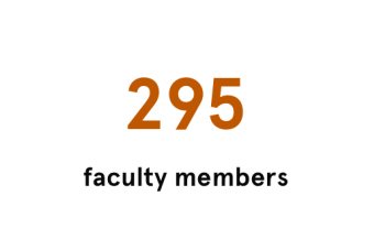 295 Faculty members