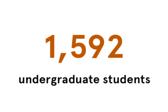 1,592 Undergraduate Students