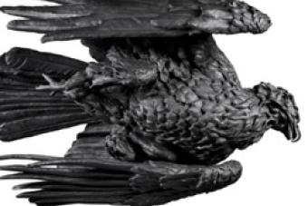 eagle