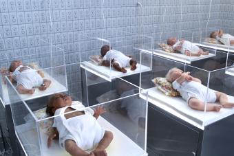 Rachel Lee Hovnanian, Perfect Baby Showroom