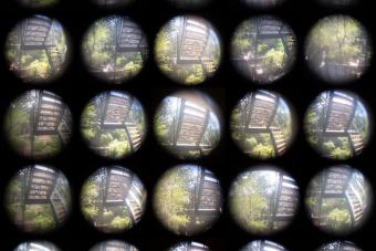 A grid of images of a view through an apartment door peephole