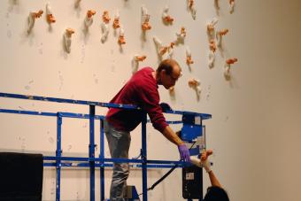 An art preparator hangs artwork from a lift in a gallery.