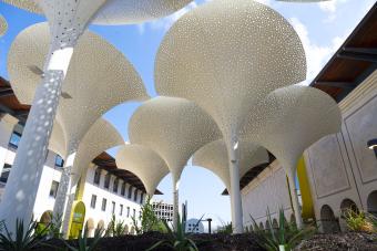 Petals sculpture outside the Blanton Museum of Art