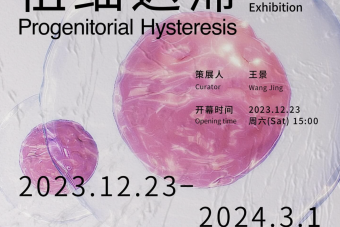 Promotional poster for exhibition Progenitorial Hysteresis by Design Assistant Professor Jiabao Li on view at Duende Art Museum in China