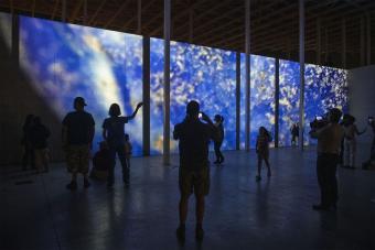 Small objects are projected at an enormous scale as part of Teresa Hubbard and Alexander Birchler's installation "Past Deposits from a Future Yet to Come"