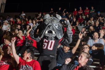 image of a mascot in the bleachers