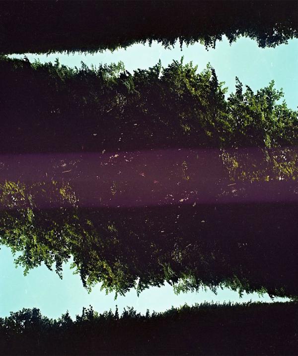 digitally manipulated image using trees, sky, and purple band
