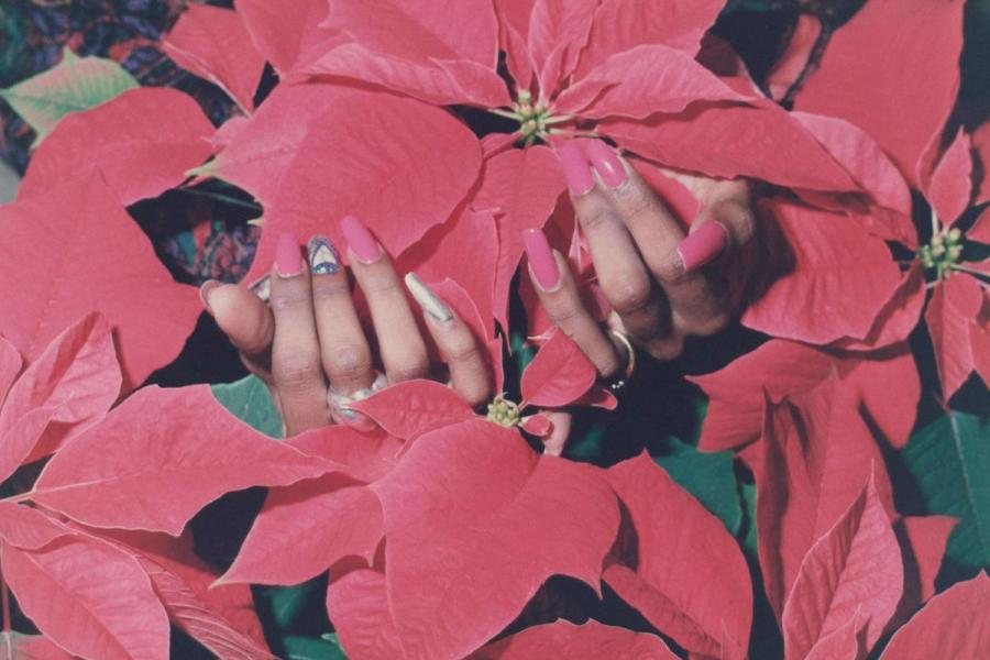 human hands hidden among red flowers