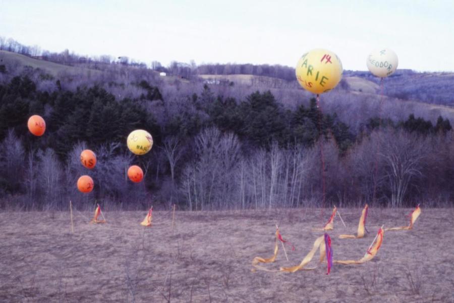 image of balloons in a field