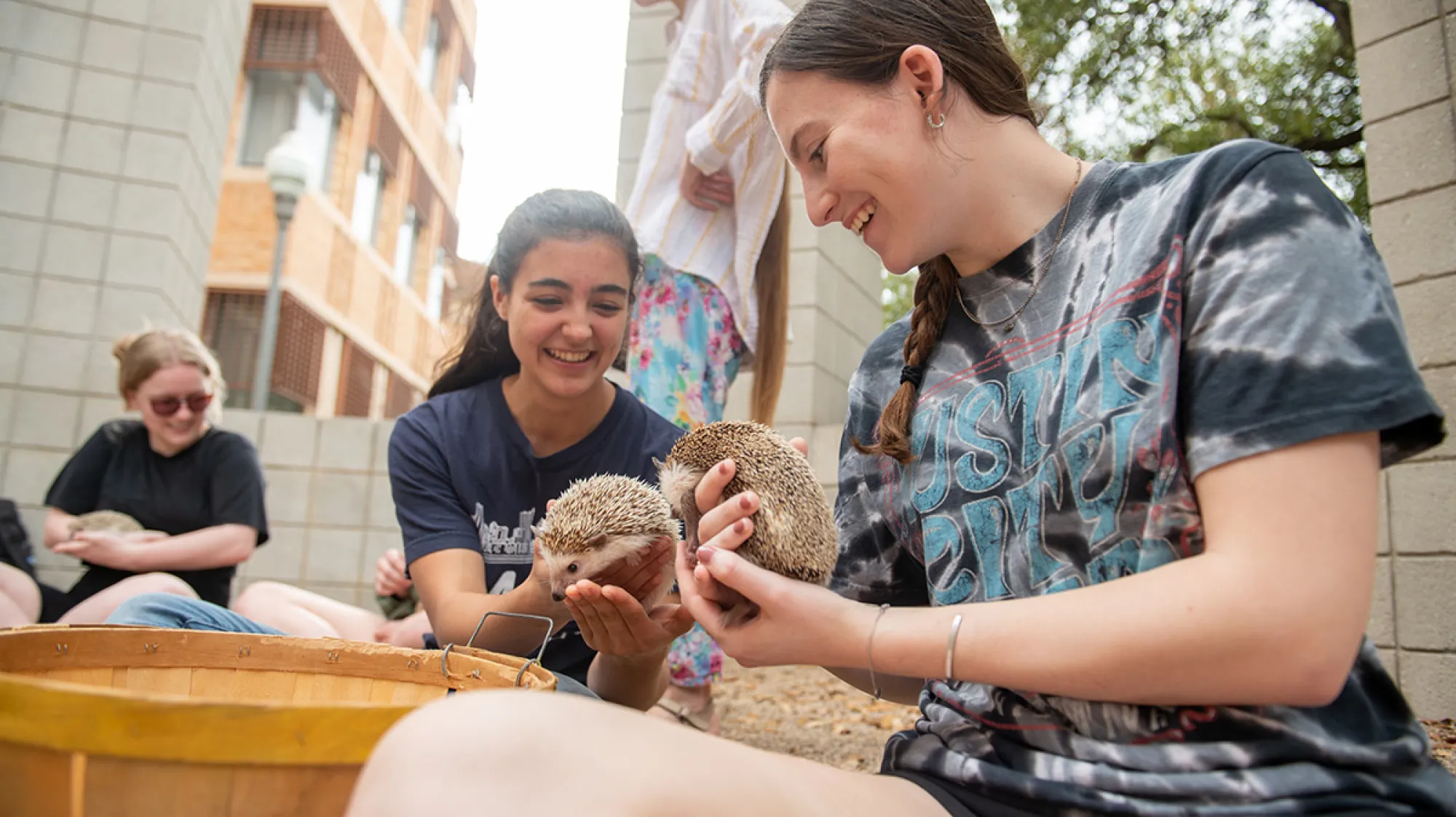 Students with hedgehogs inside Sol LeWitt’s Circle with Towers during Paws for Public Art