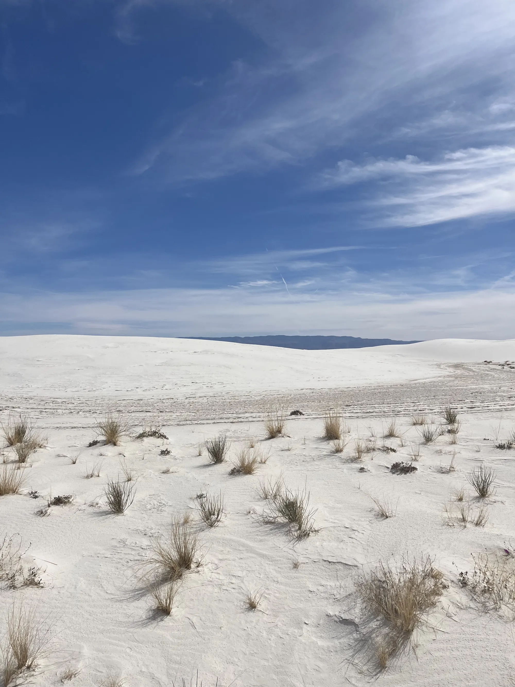 White Sands New Mexico