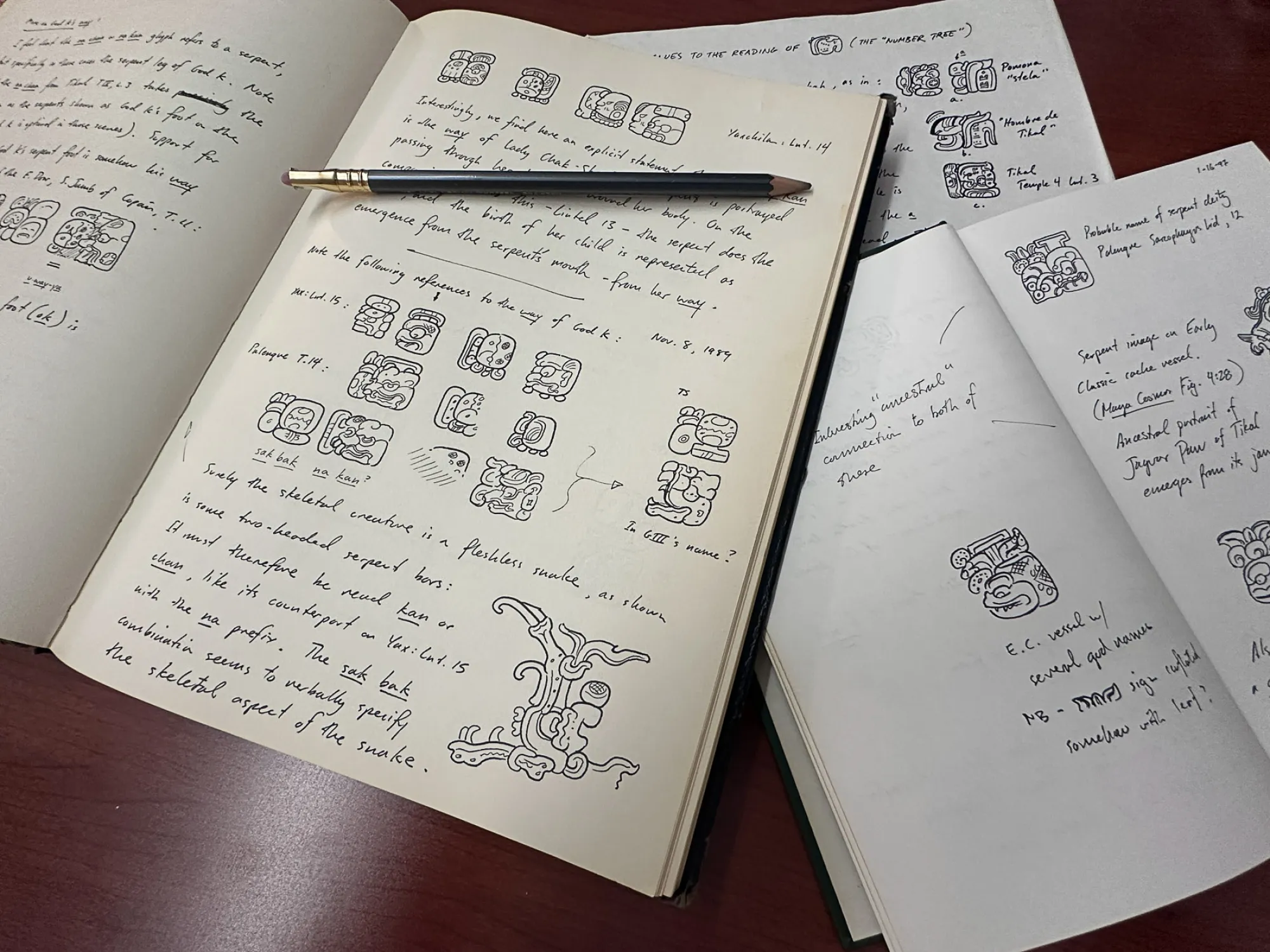 Sketches of Maya glyphs from David Stuart's notebooks