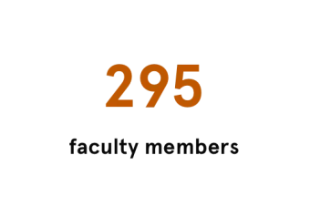 295 Faculty members