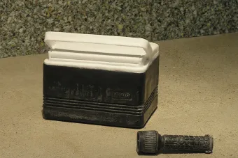 Swanson sculpture