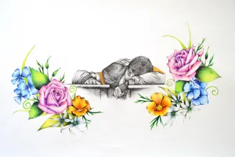 Natalia Anciso presents solo exhibition at University of Arizona