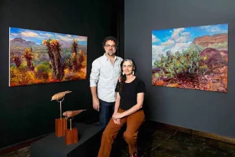 Duo exhibition featuring Felice House M.F.A., Studio Art, 2011 now on view at Davis Gallery