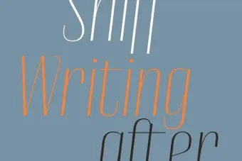 cover image of Writing After Art