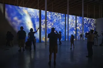 Small objects are projected at an enormous scale as part of Teresa Hubbard and Alexander Birchler's installation "Past Deposits from a Future Yet to Come"