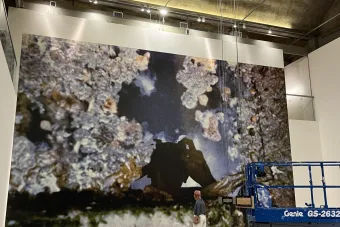 image of a wall installation of a photo