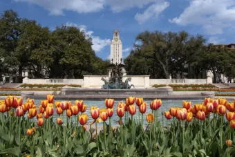 UT Tower and Littlefield Fountain with tulips