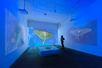 Installation of Virginia Lee Montgomery's work at Ballroom Marfa