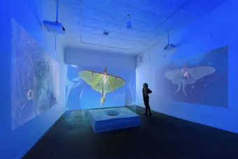 installation image