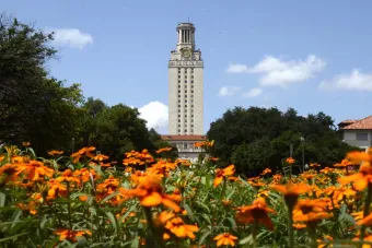The UT Tower, with orange flowers in the foreground