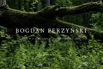 Bogdan Perzynski has a show on view at the Liliana Bloch Gallery from August 13 to September 5, 2026.