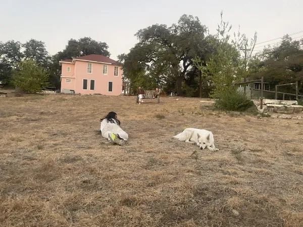 image of a person and their dog laying in a field