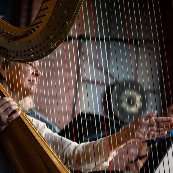 A woman is framed behind the strings of the harp she is playing.
