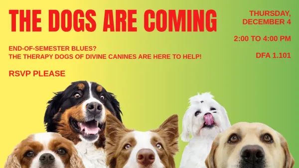 Divine Canines, Fall 2025