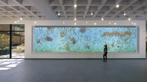 A person stands in front of a large wall sized digital screen. On the screen is a blue and green background with amorphous tendrils floating in different organic shapes.