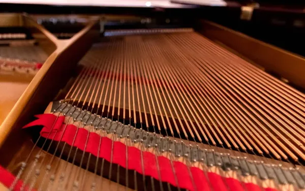 a closeup image of the inside of a piano