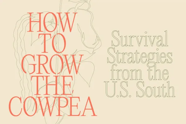 How to Grow the Cowpea: Survival Strategies from the U.S. South