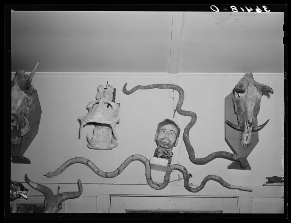 Russell Lee's photograph of Homer Tate's studio showing various oddities and gaffs on the wall