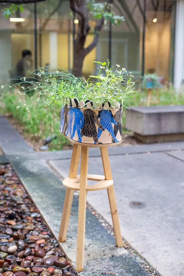 plant on stand in courtyard