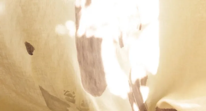 an abstract image of cloth in sunlight