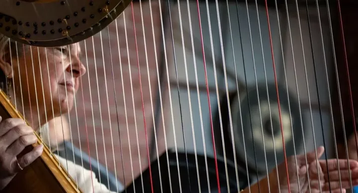 A woman is framed behind the strings of the harp she is playing.