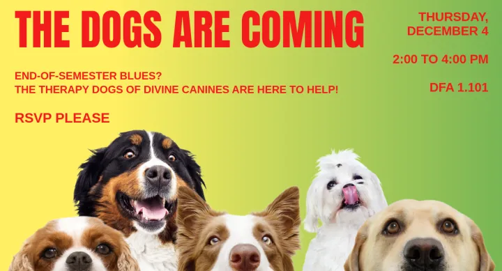 Divine Canines, Fall 2025