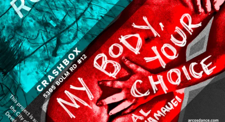 Poster for My Body, Your Choice