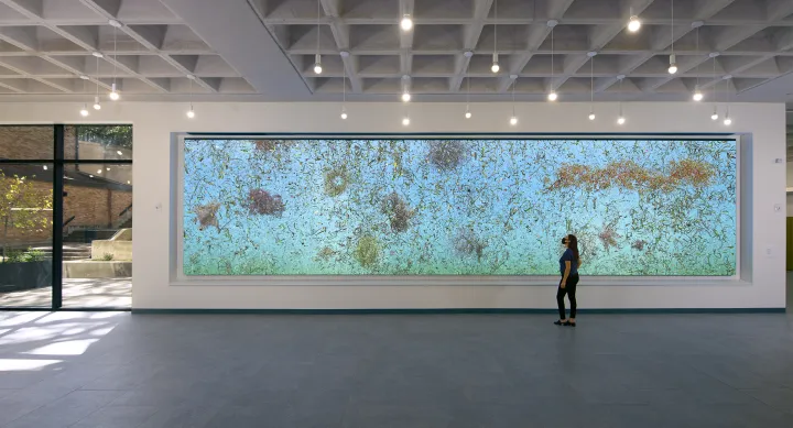 A person stands in front of a large wall sized digital screen. On the screen is a blue and green background with amorphous tendrils floating in different organic shapes.